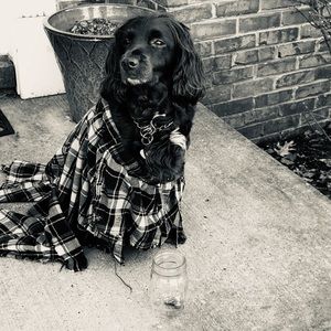 Meet your Posher, Harry